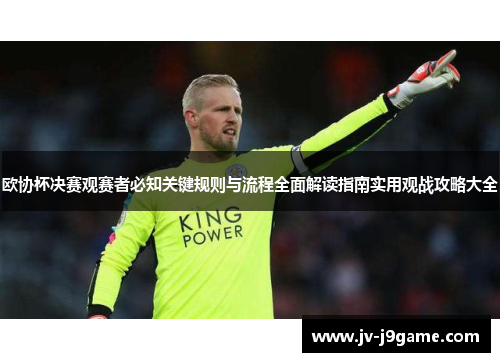 欧协杯决赛观赛者必知关键规则与流程全面解读指南实用观战攻略大全 欧协杯决赛观赛者必知关键规则与流程全面解读指南实用观战攻略大全