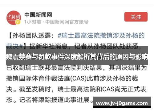 魏震禁赛与罚款事件深度解析其背后的原因与影响